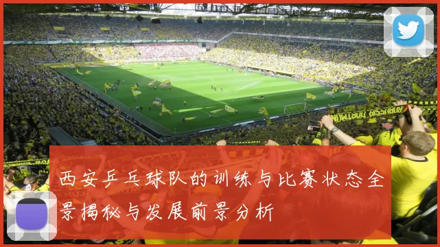 西安乒乓球队的训练与比赛状态全景揭秘与发展前景分析